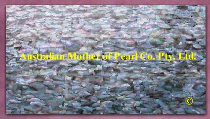 Black Mother of Pearl panel