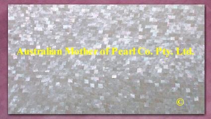 Mother of Pearl mosaic panel