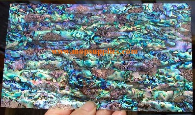 Paua "B" glued sheet