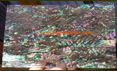 Paua light veneer