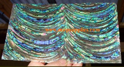 Paua rim glued sheet