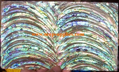 Paua rim veneer