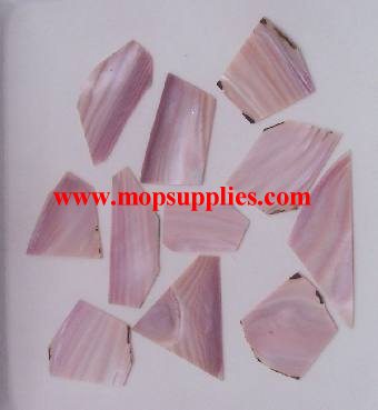 Pink Mussel blanks