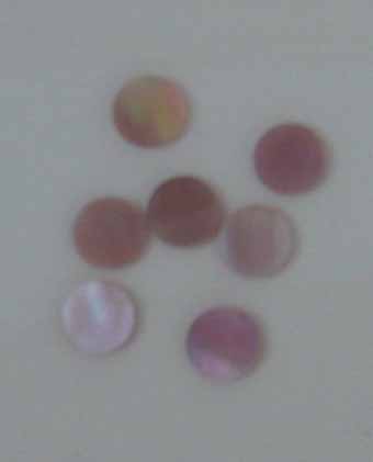 Pink mussel dots