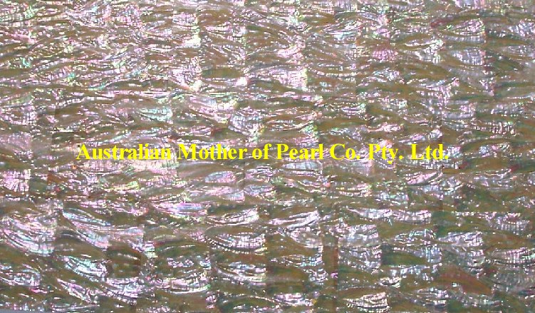 Awabi special panels