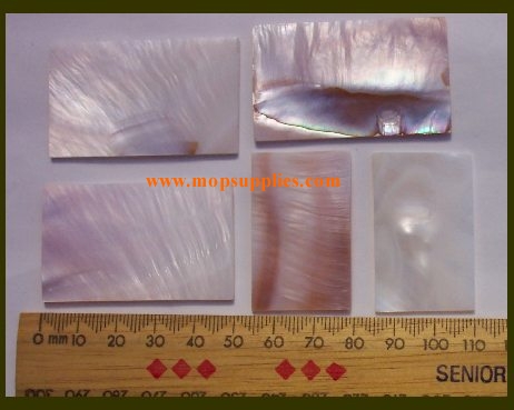 Fresh water pearl shell blanks