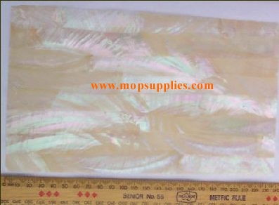 Greenlip abalone veneer