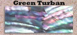Green Turban glued blank