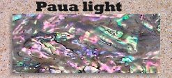 Paua light glued blank