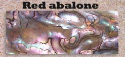 Red abalone glued blank