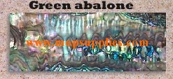 Green abalone glued blank