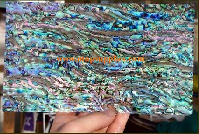 Paua veneer