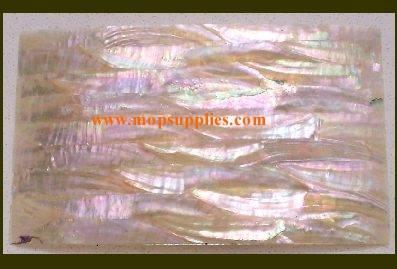 Black abalone glued sheet A