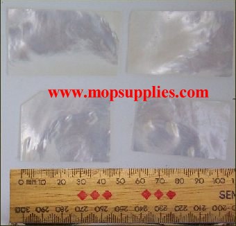 Silver MOP blanks