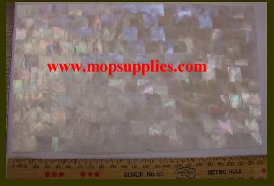 Silverlip MOP mosaic glued sheet